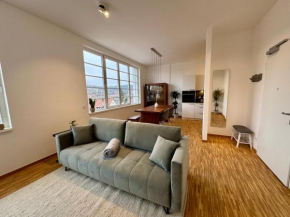 Loft Meinbrunn II
